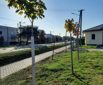 Aktuality / Revitalizácia verejnej zelene v obci Palín - foto