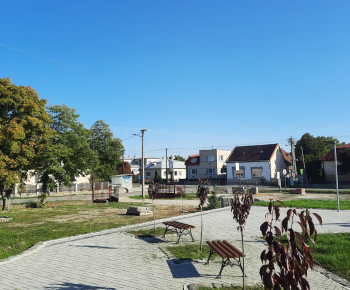Aktuality / Revitalizácia verejnej zelene v obci Palín - foto