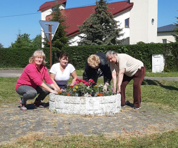 Aktuality / Jarná výsadba kvetín nás teší - foto
