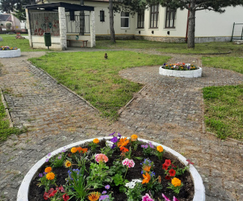 Aktuality / Pestrofarebná jar - foto