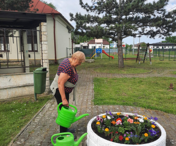 Aktuality / Pestrofarebná jar - foto