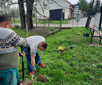Aktuality / Zveľadenie a výsadba drevín na verejnom priestranstve  - foto