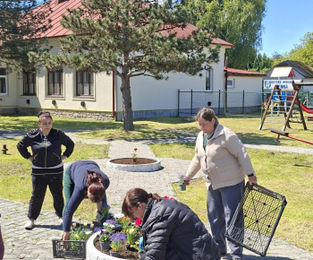 Aktuality / Výsadba pestrofarebných letničiek - foto