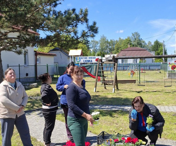 Aktuality / Výsadba pestrofarebných letničiek - foto