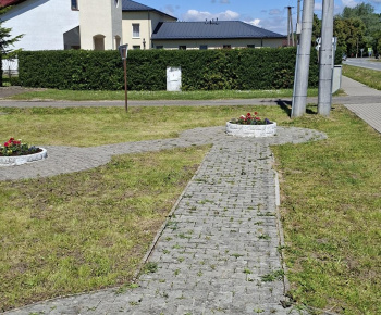 Aktuality / Výsadba pestrofarebných letničiek - foto