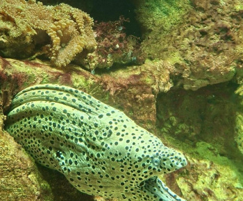 Aktuality / Zájazd do ZOO Nyíregyháza - foto