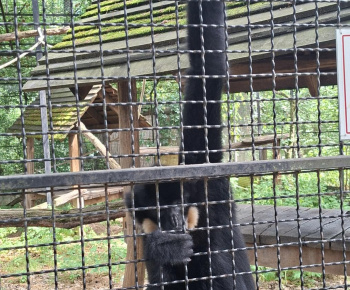 Aktuality / Zájazd do ZOO Nyíregyháza - foto