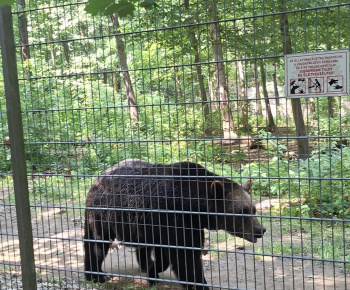 Aktuality / Zájazd do ZOO Nyíregyháza - foto