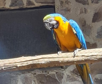Aktuality / Zájazd do ZOO Nyíregyháza - foto