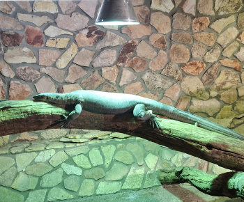 Aktuality / Zájazd do ZOO Nyíregyháza - foto