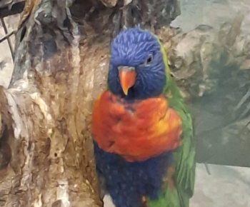 Aktuality / Zájazd do ZOO Nyíregyháza - foto