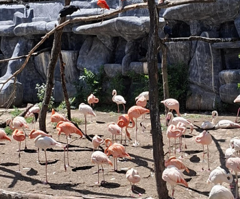 Aktuality / Zájazd do ZOO Nyíregyháza - foto