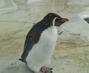 Aktuality / Zájazd do ZOO Nyíregyháza - foto
