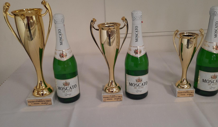 4. fotografia fotogalérie 12. ročník stolnotenisového turnaja o pohár starostu obce Palín 2025