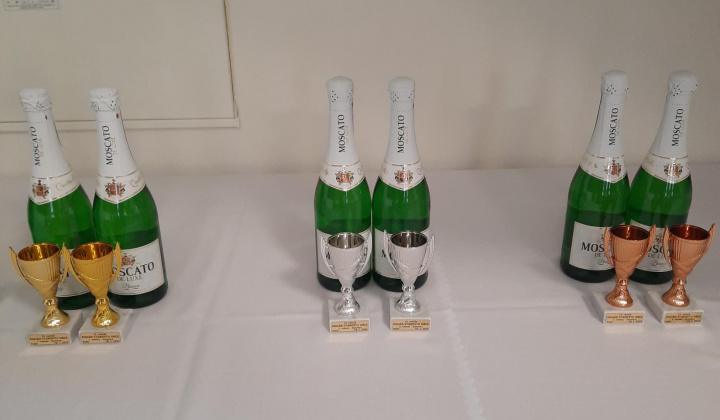 6. fotografia fotogalérie 12. ročník stolnotenisového turnaja o pohár starostu obce Palín 2025