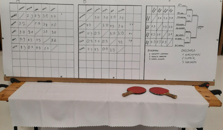 19. fotografia fotogalérie 11. ročník stolnotenisového turnaja o pohár starostu obce Palín 2024