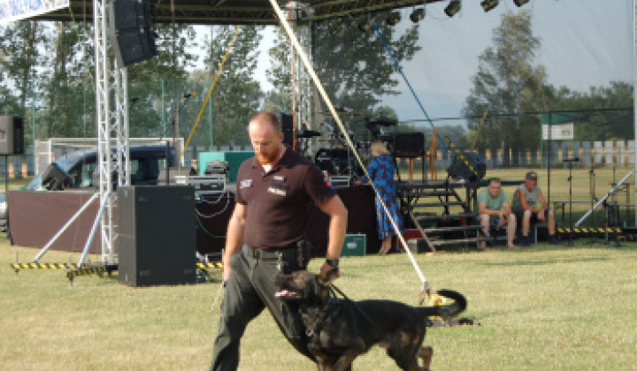 20. fotografia fotogalérie 720. VÝROČIE PRVEJ PÍSOMNEJ ZMIENKY OBCE PALÍN