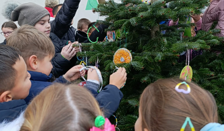 10. fotografia fotogalérie Aktuality / Vianočná nálada v našej obci - foto