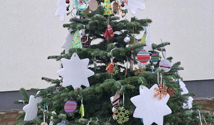 11. fotografia fotogalérie Aktuality / Vianočná nálada v našej obci - foto