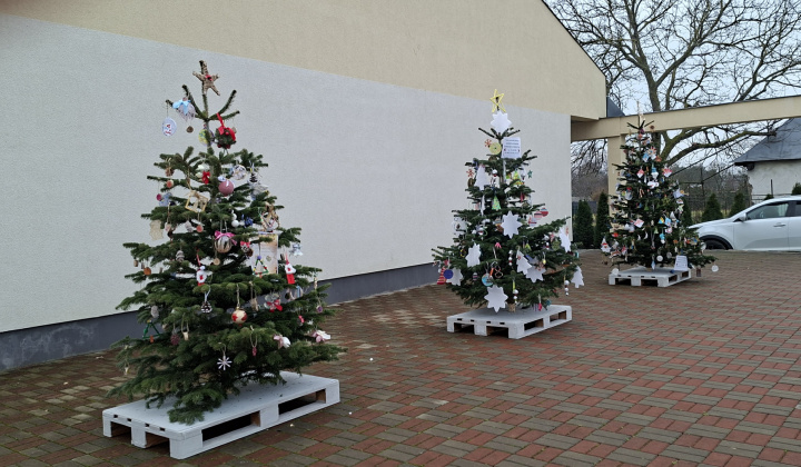 13. fotografia fotogalérie Aktuality / Vianočná nálada v našej obci - foto