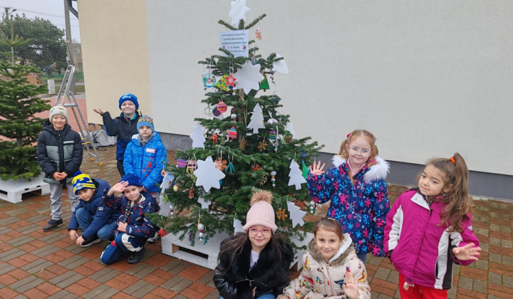 14. fotografia fotogalérie Aktuality / Vianočná nálada v našej obci - foto