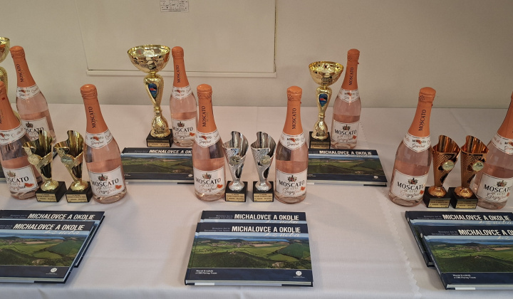 2. fotografia fotogalérie 13. ročník stolnotenisového turnaja o pohár starostu obce Palín 2026