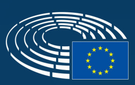 Fotka - Voľby do Európskeho parlamentu